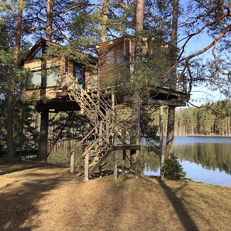 Вілла Treehouse Ciekurs Dukuri Екстер'єр фото