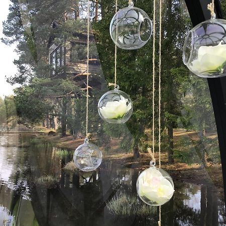 Вілла Treehouse Ciekurs Dukuri Екстер'єр фото