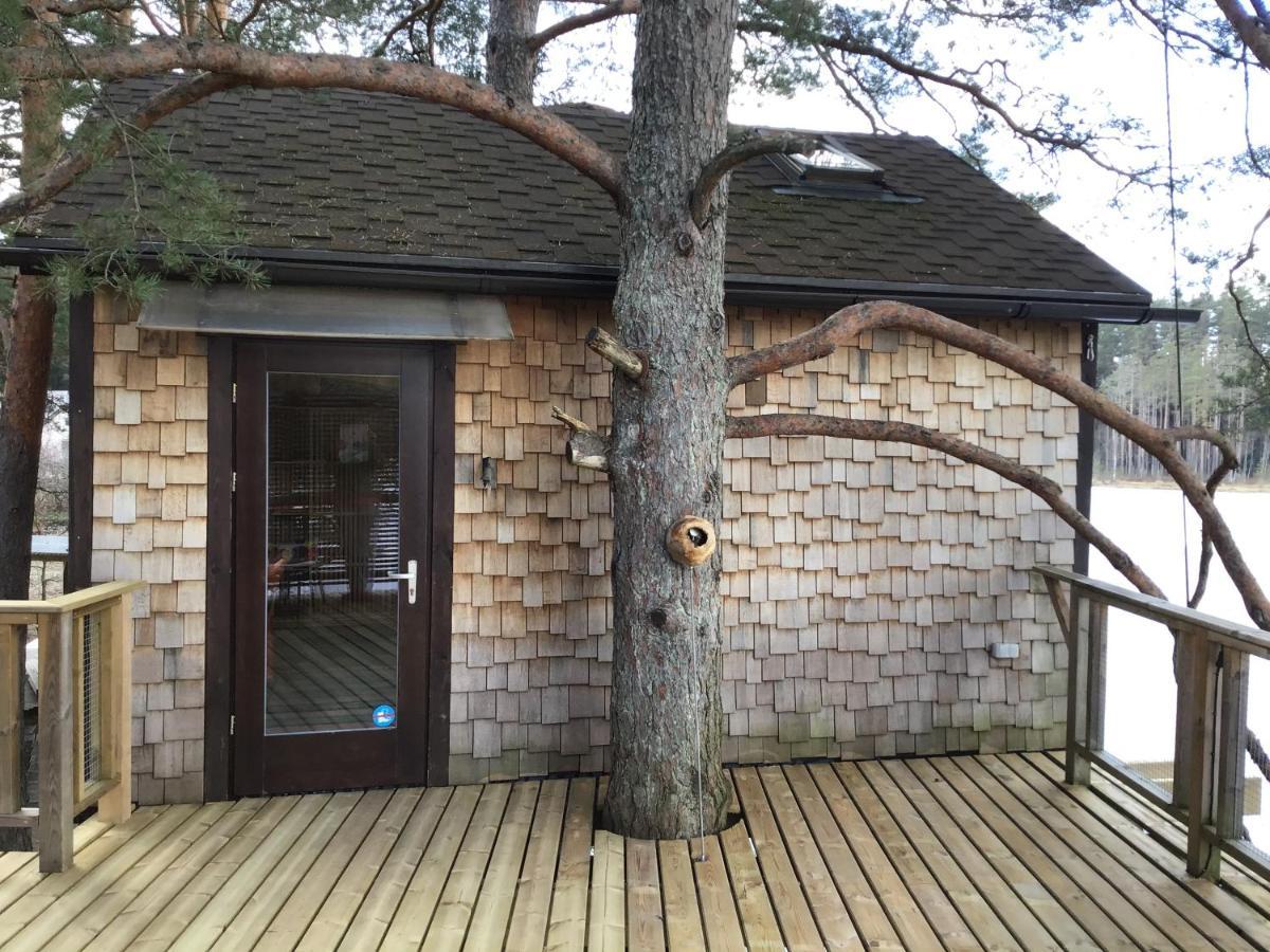 Вілла Treehouse Ciekurs Dukuri Екстер'єр фото