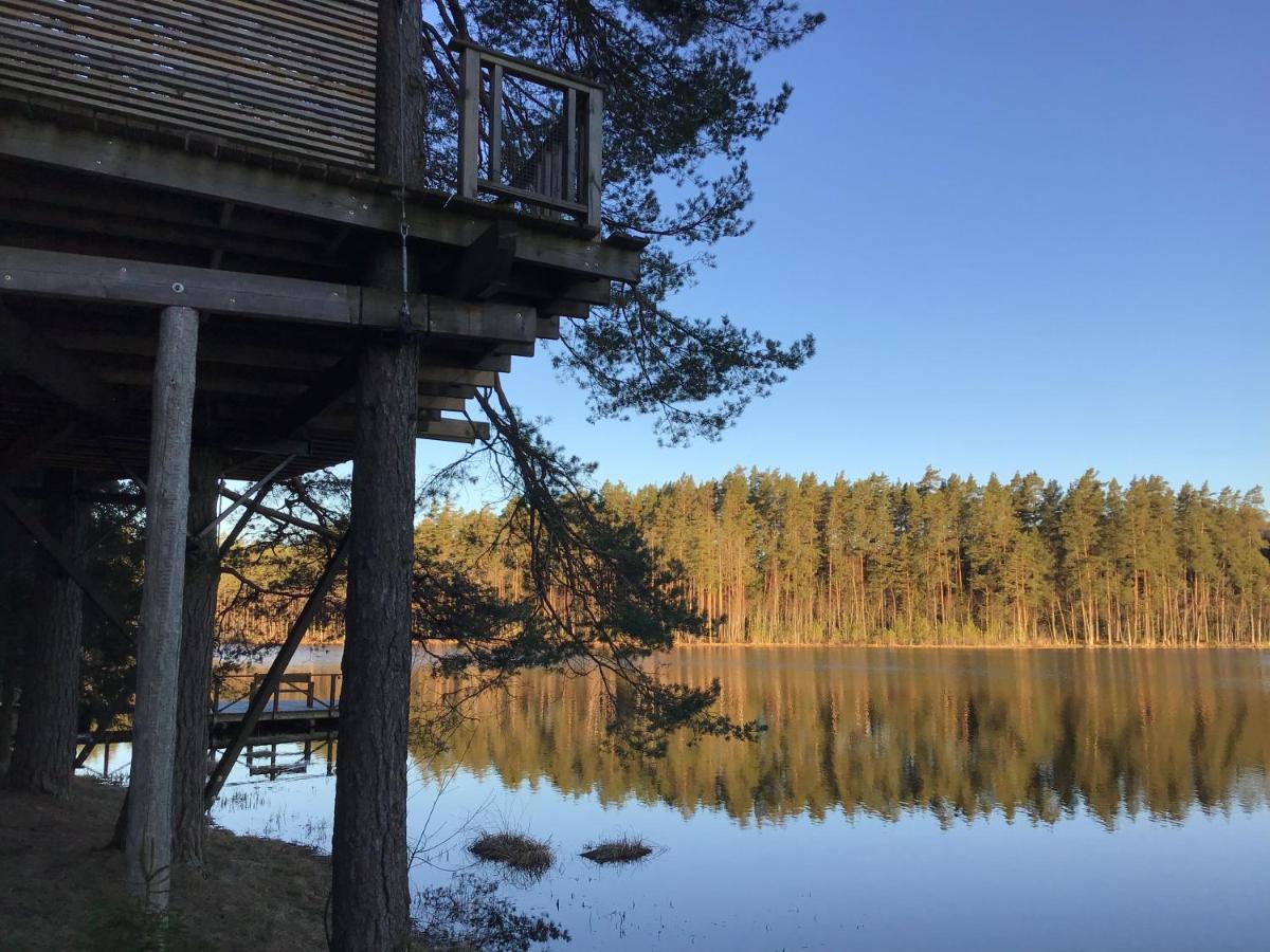 Вілла Treehouse Ciekurs Dukuri Екстер'єр фото