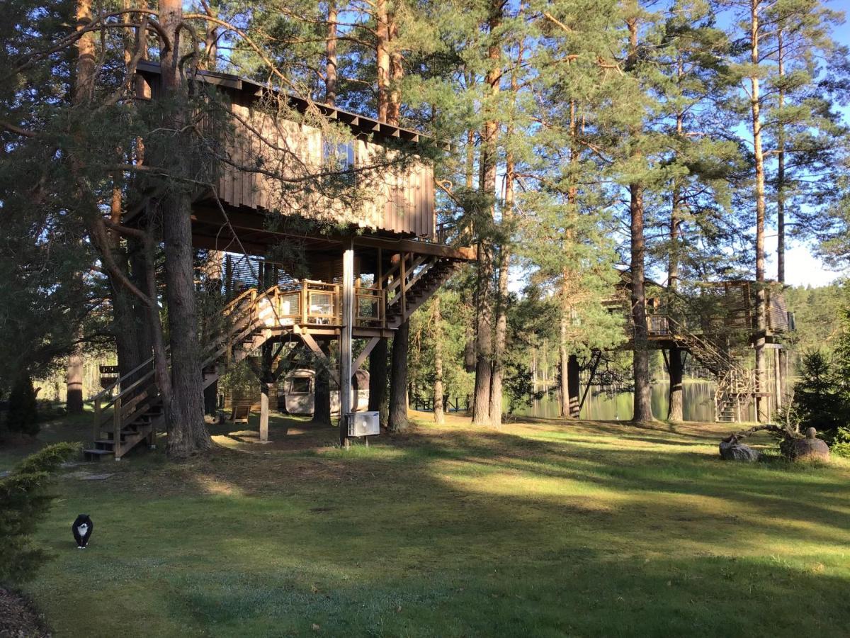 Вілла Treehouse Ciekurs Dukuri Екстер'єр фото