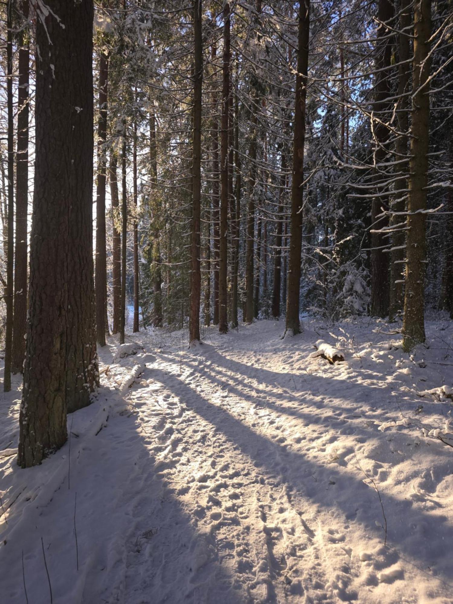 Вілла Treehouse Ciekurs Dukuri Екстер'єр фото