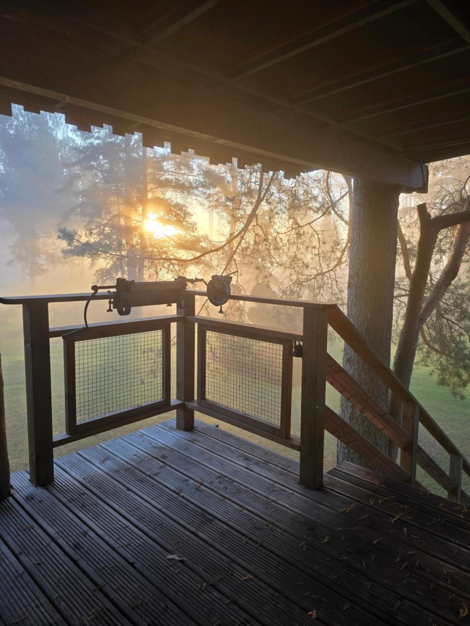 Вілла Treehouse Ciekurs Dukuri Екстер'єр фото