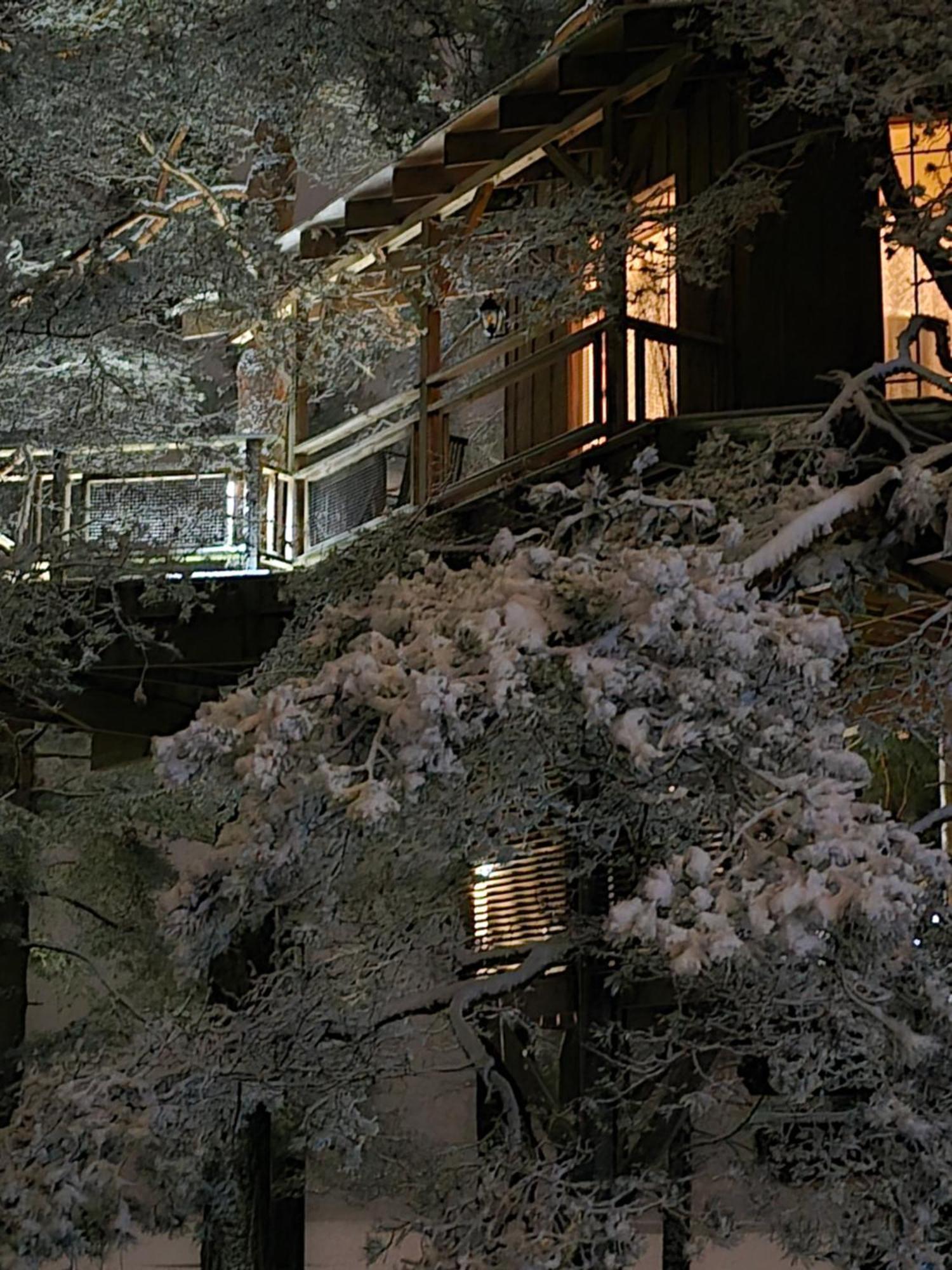 Вілла Treehouse Ciekurs Dukuri Екстер'єр фото