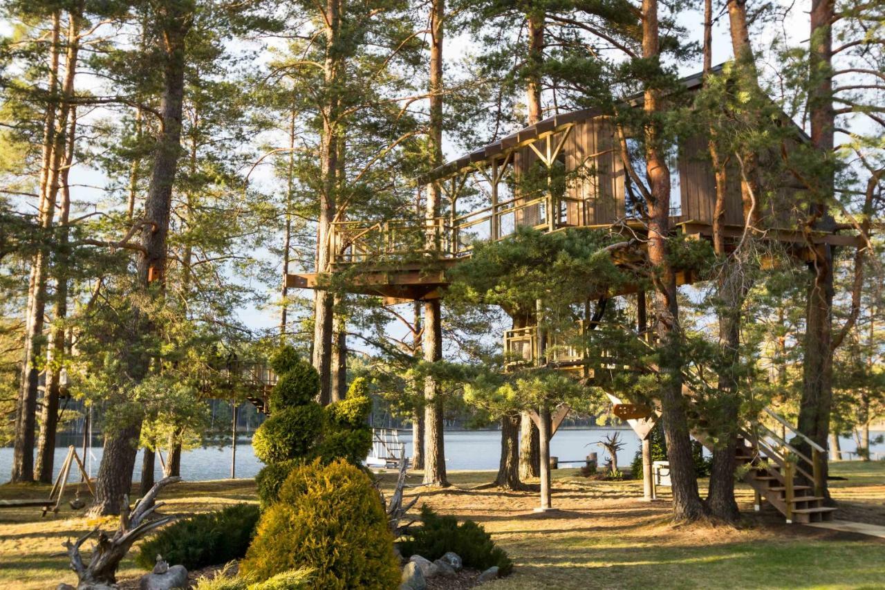 Вілла Treehouse Ciekurs Dukuri Екстер'єр фото